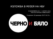 12_175x130_crop_478b24840a