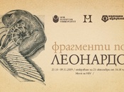 201910247305625_175x130_crop_478b24840a