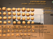 800-pokana-1_175x130_crop_478b24840a