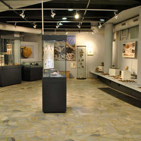 dsc0002-2_280x280_crop_478b24840a