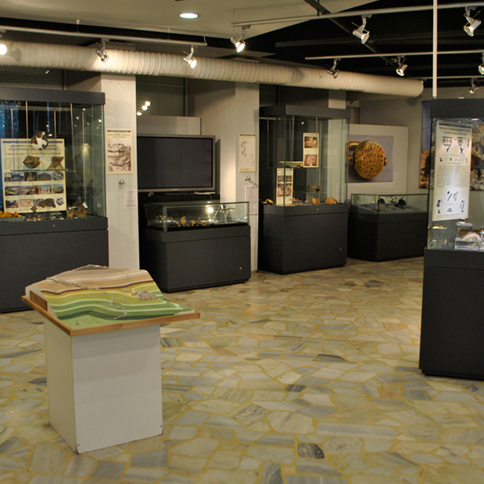 dsc000-13_700x700_crop_478b24840a